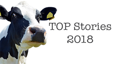While we look forward to 2019, it’s also time to look at all the ridiculous things that happened in 2018. The following are some of the Cow Pie Courier’s reflections on some of the stories that we covered, in no particular order.