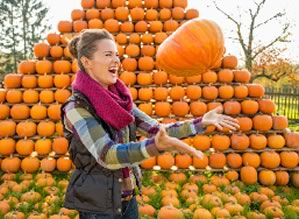 SILT, Colo. — Because we’re now moving into pumpkin season, the town is holding a free “Punkin Chuckin’ contest from 4-7 p.m. on Friday, Oct. 30 at the Stoney Ridge Pavilion.