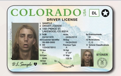 When your license expires now, expect to see a license with a whole new look and more.