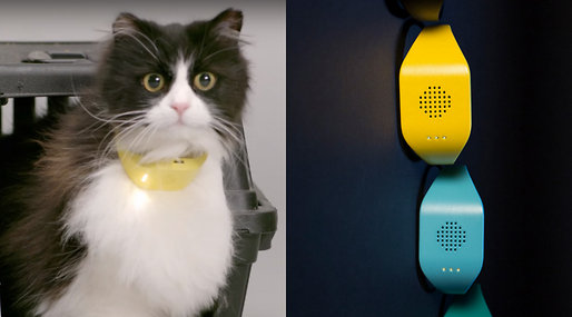 Washington, D.C.— Presidential hopefuls Hillary Clinton and Donald Trump may soon be wearing collars that use the same technology as the “Temptations Catterbox, a new device that translates a cat’s meow into a human voice.