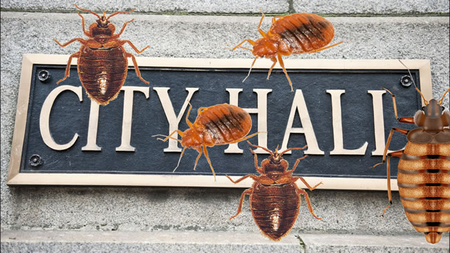 AUGUSTA, Ga. — “Sleep tight and don’t let the bed bugs bite” was not a phrase applied to the Augusta City Hall City Hall after an irate man unleashed a cupful of the critters on the counter which he said he found in his apartment.